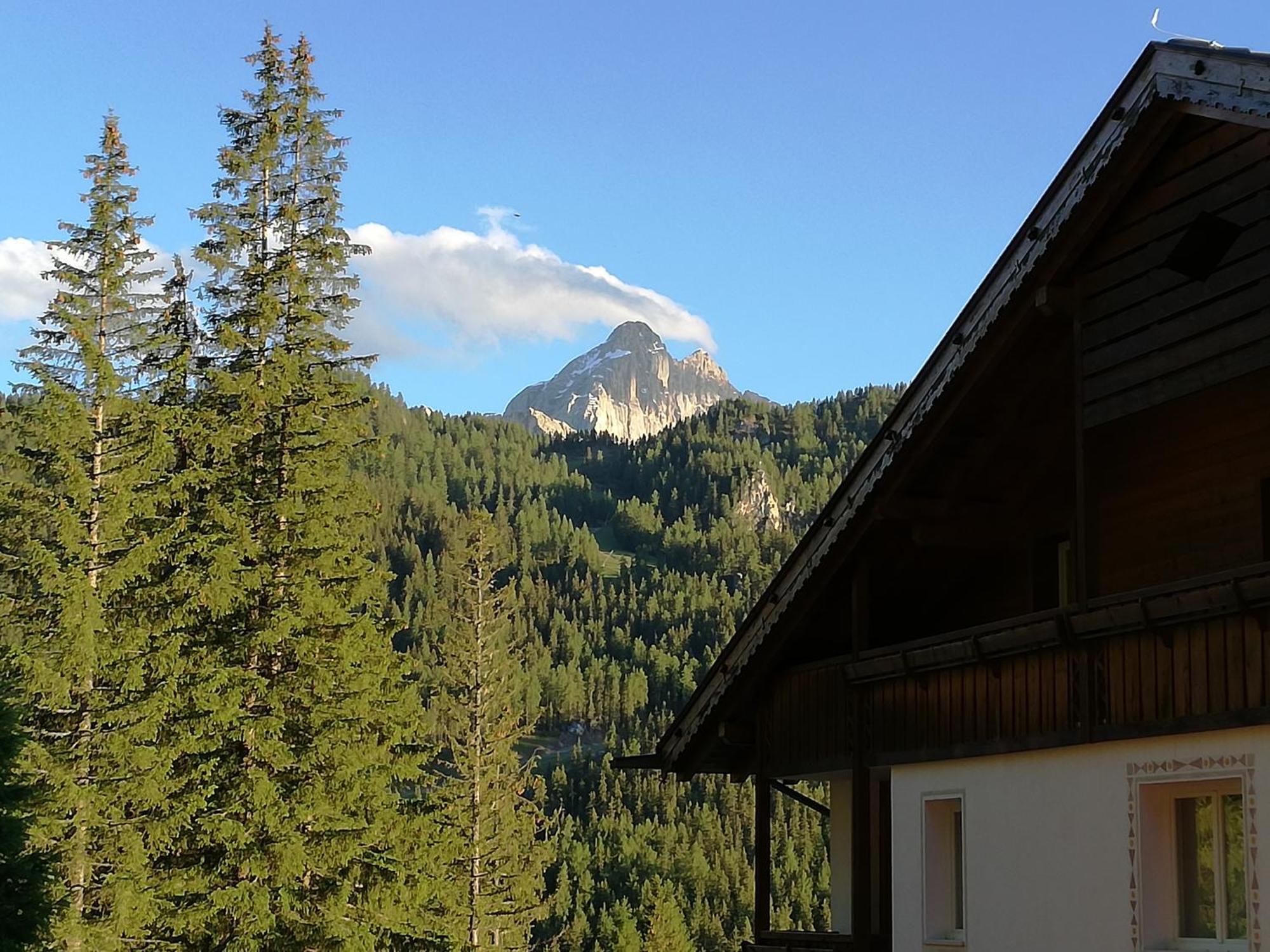 Hotel Ca' Del Bosco 塞尔瓦迪卡多雷 客房 照片
