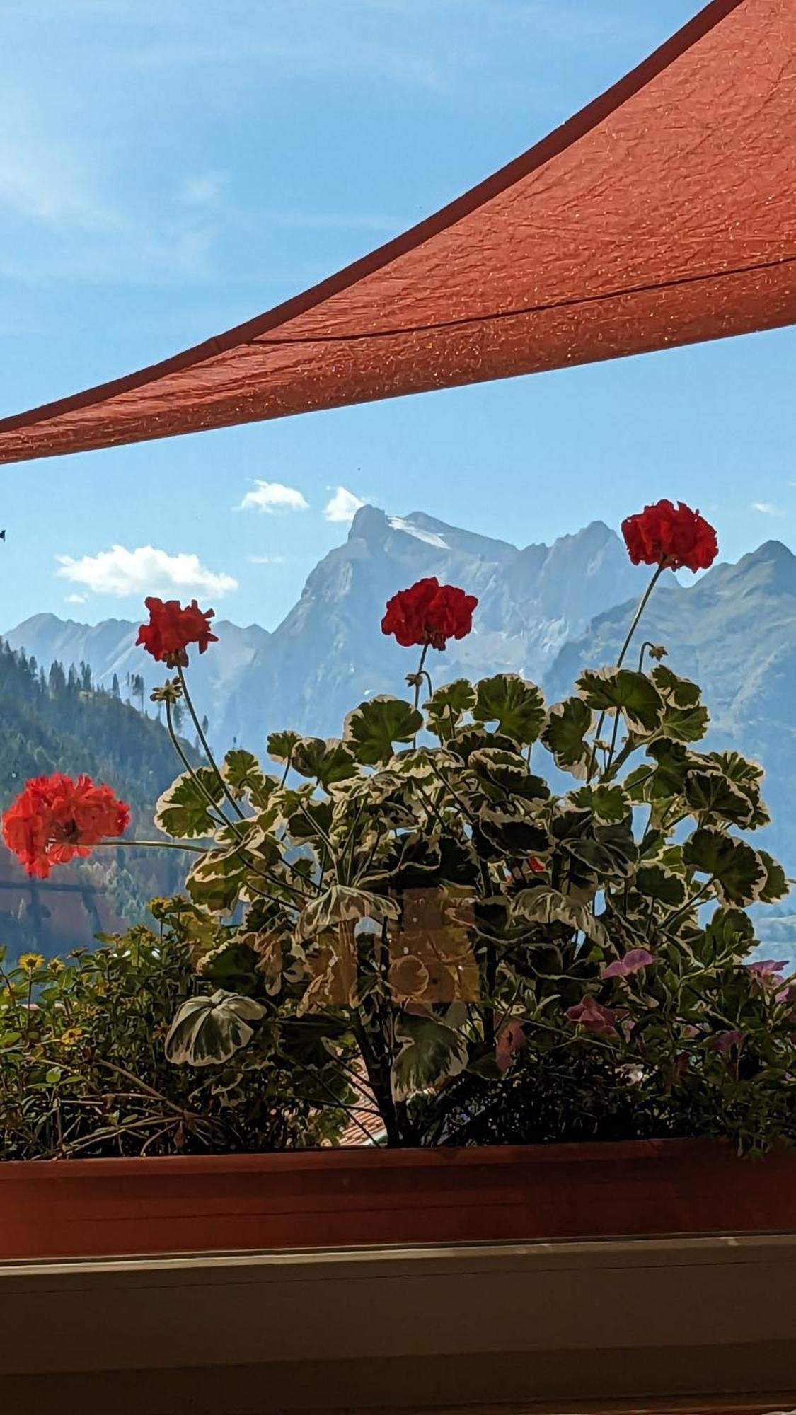 Hotel Ca' Del Bosco 塞尔瓦迪卡多雷 外观 照片