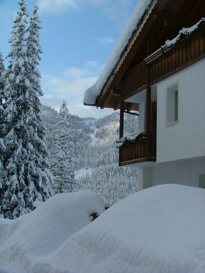 Hotel Ca' Del Bosco 塞尔瓦迪卡多雷 外观 照片