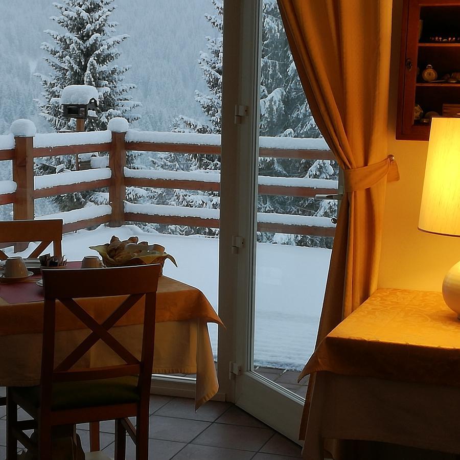 Hotel Ca' Del Bosco 塞尔瓦迪卡多雷 外观 照片